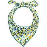 Limoncello Matching Set